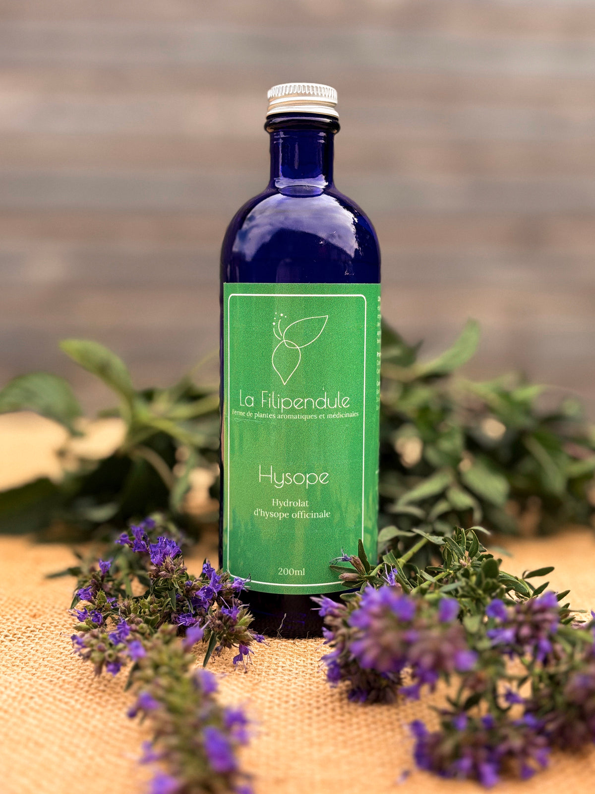 Hysope, hydrolat d'hysope officinale