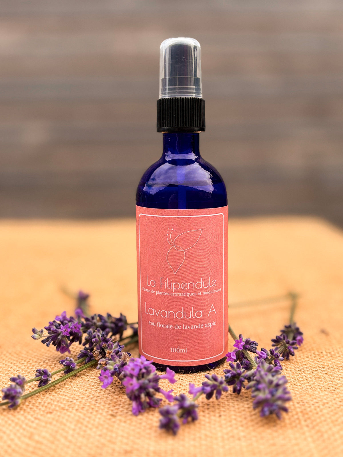 Lavandula