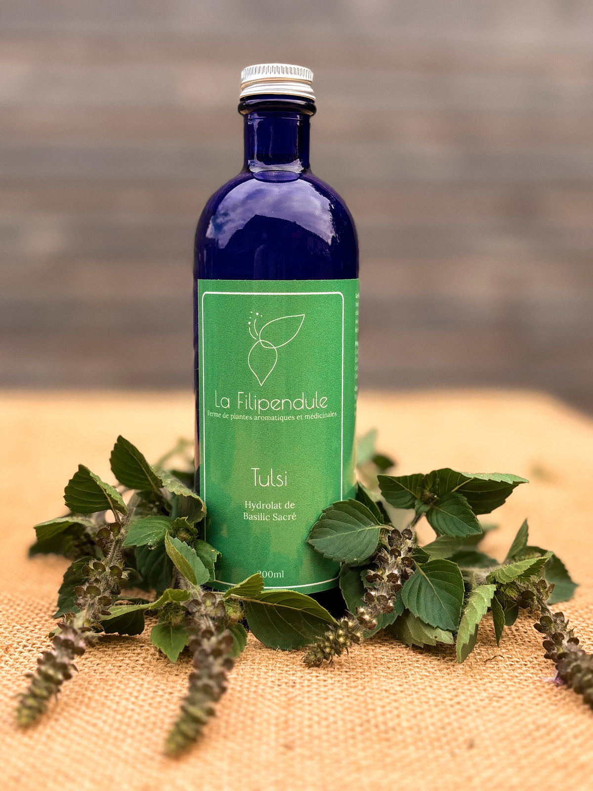 Tulsi, hydrolat de basilic sacré