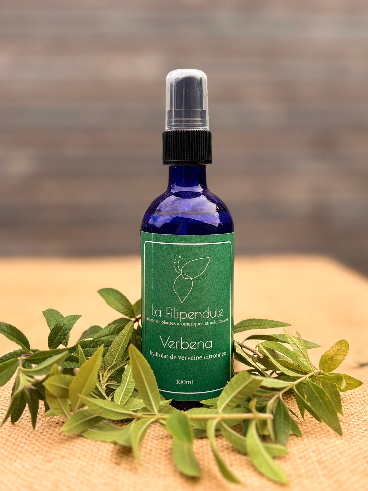 Verbena, hydrolat de Verveine citronnée